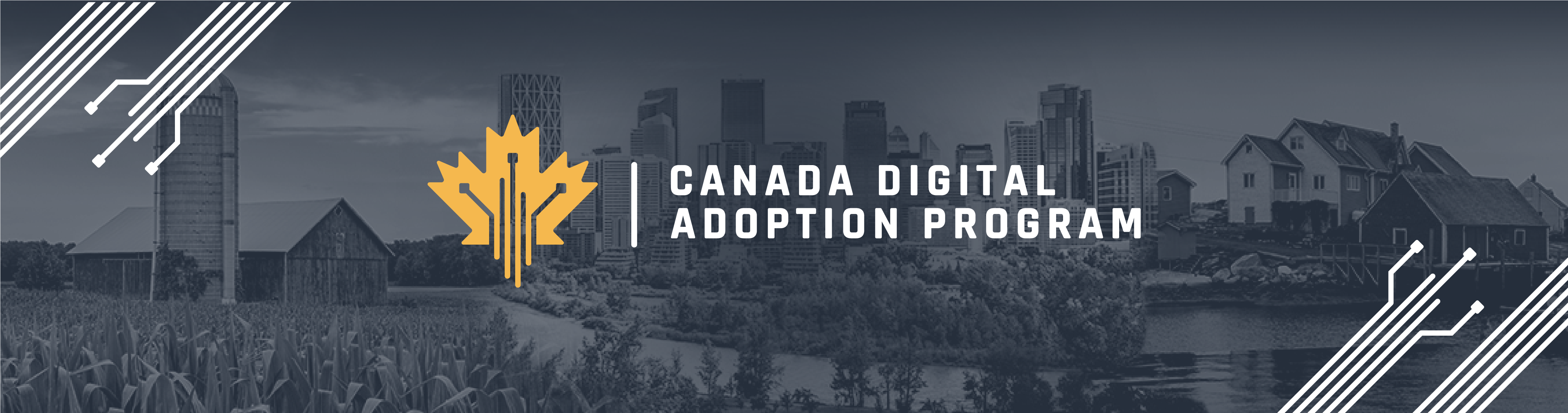Canada Digital Adoption Program - Approved Digital Advisor