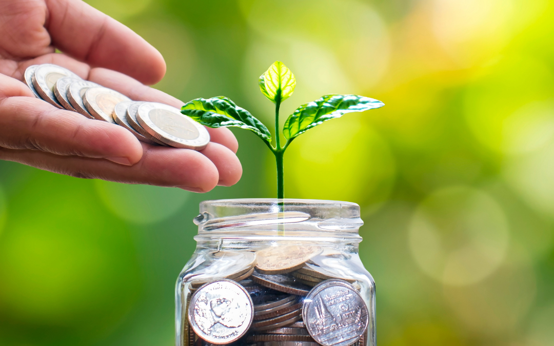 Money is being placed by hand into a glass jar of coins from which a green sprout grows.